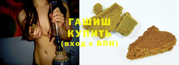 гашик Алексин