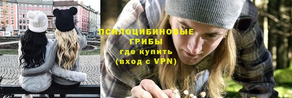 мет Арсеньев