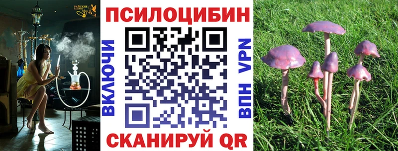 Псилоцибиновые грибы мицелий shop клад Нововоронеж