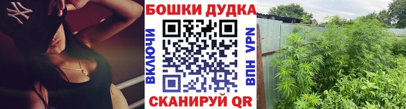 Бошки Шишки марихуана  Нововоронеж 